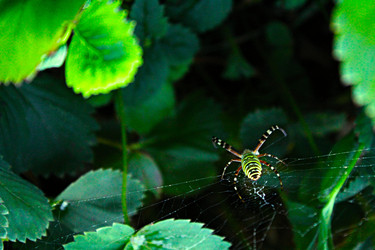 Similar image 1421752