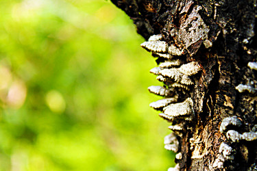 Similar image 1421753