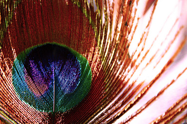 Similar image 1421758