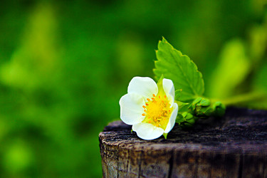 Similar image 1421759