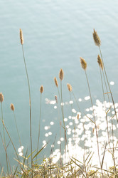 Similar image 1421762