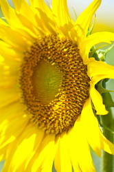 Similar image 1421765