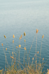 Similar image 1421769