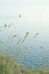 Similar image 1421770