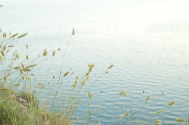 Similar image 1421771