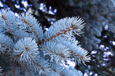 Similar image 1421784