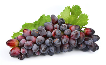 Similar image 1421802