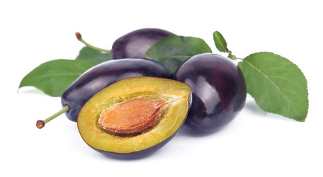 Similar image 1421804