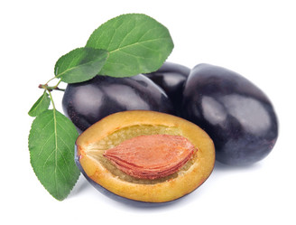 Similar image 1421805