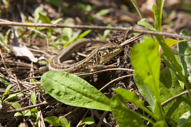 Similar image 1421821