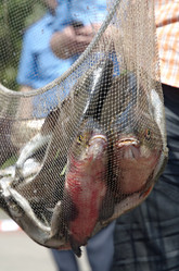 Similar image 1421823