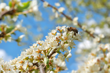 Similar image 1421827