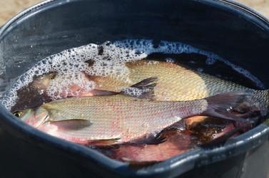 Similar image 1421828