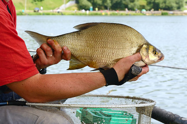 Similar image 1421829