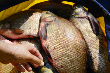 Similar image 1421831