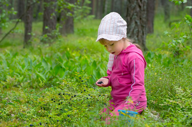 Similar image 1421847