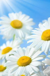 Similar image 1421848