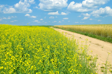 Similar image 1421858