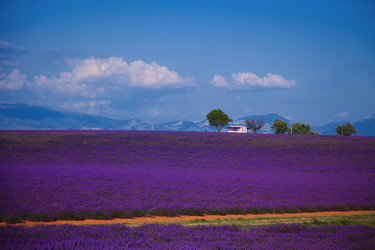 Similar image 1421861