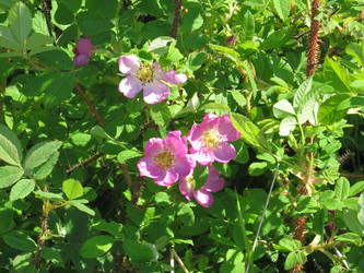 Similar image 1421879