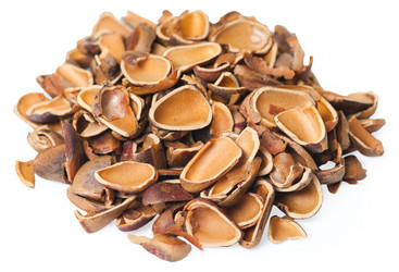 Similar image 1421892