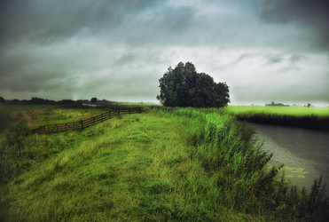 Similar image 1421916