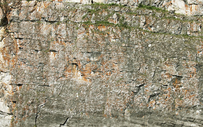 Similar image 1421923