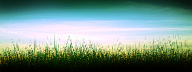 Similar image 1421925