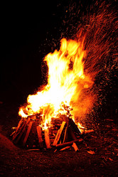 Similar image 1421931