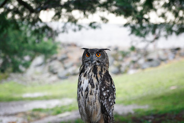 Similar image 1421962