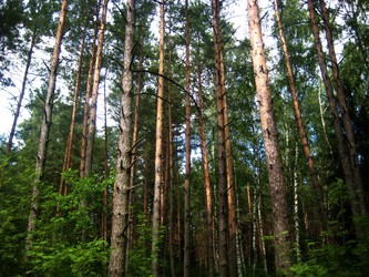 Similar image 1421967