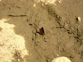 Similar image 1421968