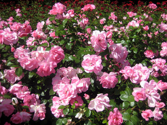 Similar image 1421976