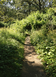 Similar image 1422023