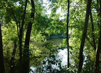 Similar image 1422027