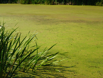 Similar image 1422030