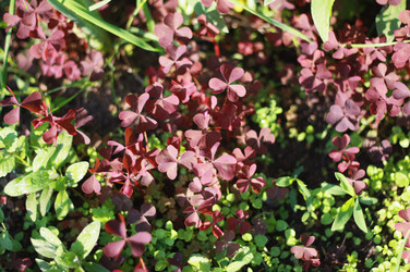 Similar image 1422033