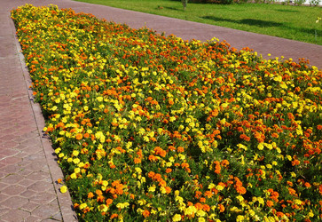 Similar image 1422037