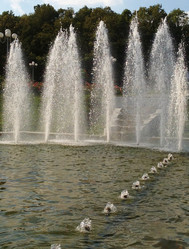 Similar image 1422062