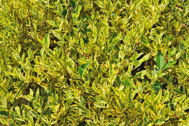 Similar image 1422204