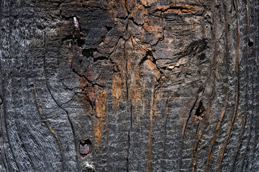 Similar image 1422208