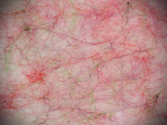 Similar image 1422216