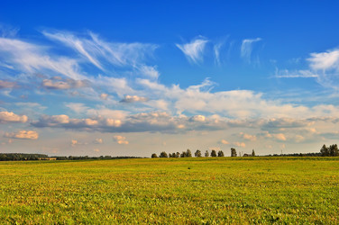 Similar image 1422220