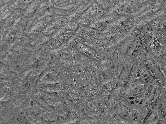 Similar image 1422223