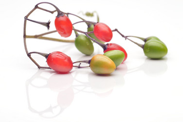 Similar image 1422241