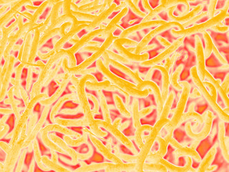 Similar image 1422245