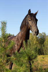 Similar image 1422263