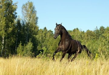 Similar image 1422264