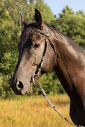 Similar image 1422268