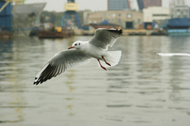 Similar image 1422269